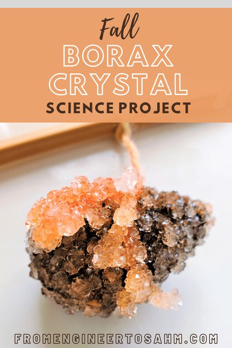 Fall Borax Crystal Science Project - From Engineer to Stay at Home Mom Borax Crystals, Fall Science, Fall Walk, Growing Crystals, Science Experiments For Preschoolers, Engineering Activities, Small Mason Jars, Autumn Activities For Kids, Yellow Foods