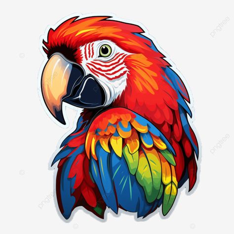 colorful bird parrot bird clipart colorful bird png Drawings Of Parrots, Macaw Drawing, Parrot Clipart, Parrot Illustration, Bird Png, Parrot Head, Parrots Art, Bird Parrot, Bird Clipart