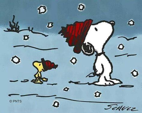 First Snow, Woodstock, Matching Pfp, Snoopy, Christmas