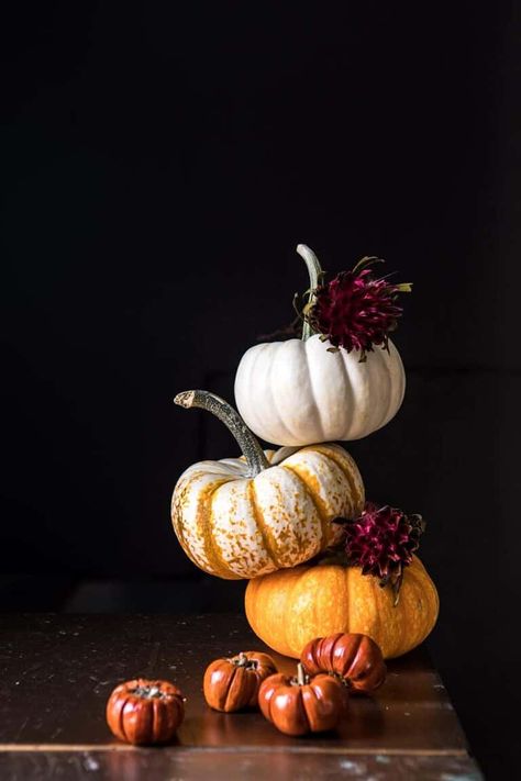 Pumpkin Patch Punch | halfbakedharvest.com #pumpkin #cocktails #punch #tahnksgiving #halloween Ginger Beer Drinks, Autumn Punch, Pumpkin Photography, Pumpkin Photos, Pumpkin Butter, Halloween Cocktails, Fall Cocktails, Half Baked Harvest, Apple Harvest