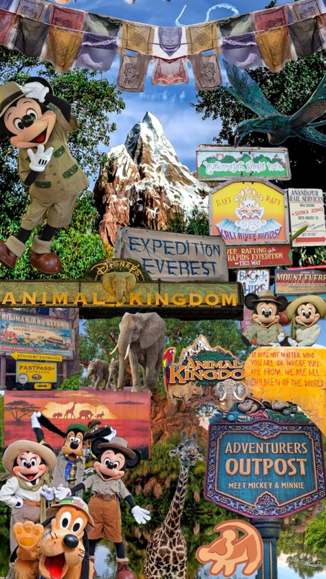 Disneyland Collage, Animal Kingdom Wallpaper, Disneyland Wallpaper, Future Background, Kingdom Wallpaper, Disney Backgrounds, Scrapbooks Ideas, All Disney Movies, Sticker Board