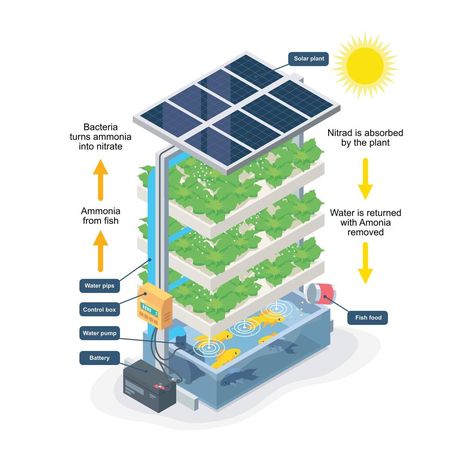 Smart Farming, Hydroponic Gardening System, Aquaponic System, Backyard Aquaponics, Smart Farm, Farming Technology, Indoor Farming, Aquaponics Diy, Modern Agriculture