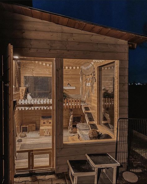 Shed Cat House, Boho Bunny Enclosure, Bunny Indoor House Ideas, Bunny Cage Ideas Outdoor, Bunny Hutches Outdoor, Bunny Sheds Outdoor, Bunny Shed Ideas, Bunny Outdoor Enclosure, Rabbit Shed Ideas Outdoor