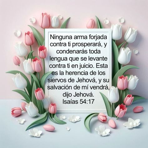 Floryday Vestidos, Jehovah Witness Quotes, Jehovah Witness, Jehovah's Witnesses, Quotes