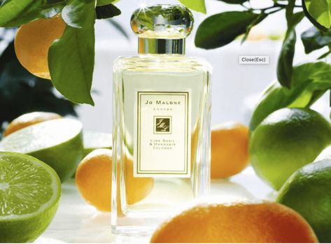 Here are some of our all-time favourite potions that offer olfactory refreshment when the mercury rises. Jo Malone Lime Basil Mandarin, Koleksi Parfum, Jo Malone Perfume, Lime Basil, Summer Fragrance, Unisex Perfume, Jo Malone London, Perfume Brands, Jo Malone