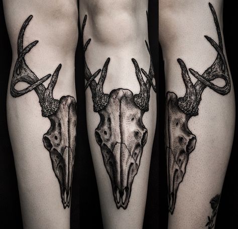 Ethan Tattoo, Deer Skull Tattoo, Deer Skull Tattoos, Knee Tattoos, Etching Tattoo, Dragon Sleeve Tattoos, Single Needle Tattoo, Deer Tattoo, Mini Tattoo