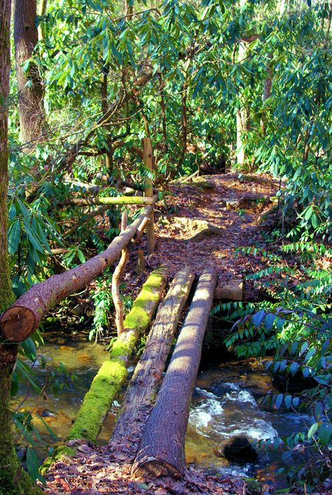 Log Bridge, Asheville Hikes, Ozark National Forest, Shawnee National Forest, Carolina Mountains, Pisgah National Forest, Forest Adventure, Utah Hikes, Adventure Hiking