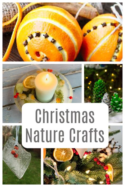 Christmas Nature Crafts Christmas Nature Crafts, Nature Crafts For Kids, Christmas Tree Smell, Christmas Nature, Christmas Scavenger Hunt, Nature Craft, Festive Cookies, Festival Diy, Rustic Christmas Tree