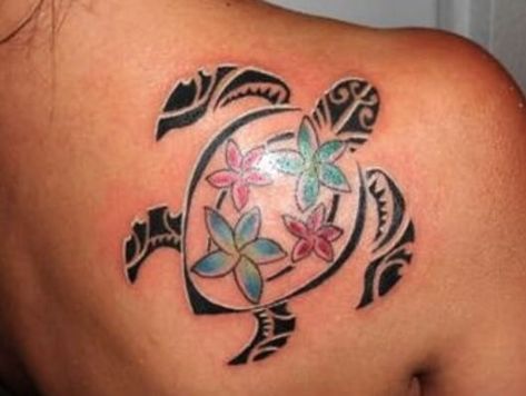 20+ Tribal Turtle Tattoo Ideas, Designs, and Meanings | PetPress Turtle Tattoo Ideas, Hawaiian Turtle Tattoos, Hai Tattoo, Hawaii Tattoos, Sea Turtle Tattoo, Turtle Tattoo Designs, Hawaiian Tattoo, Turtle Tattoo, Celtic Tattoos