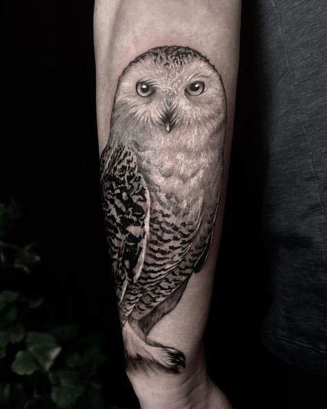 Majestic black and gray Snow Owl tattoo crafted by the talented @jenskinart Every feather is intricately detailed, capturing the elegance of this nocturnal beauty. 🦉🖤⁠ White Owl Tattoo For Women, Snow Owl Tattoo, Snowy Owl Tattoo, White Owl Tattoo, Illustrative Tattoos, Mama Tried, Bird Tattoos, Snow Owl, White Owl