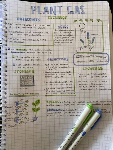 Horticulture Notes, Garden Notes, Handwriting Ideas, Organization Notes, Plant Notes, Gcse Revision, Note Ideas, Science Notebook, Aesthetic Notes