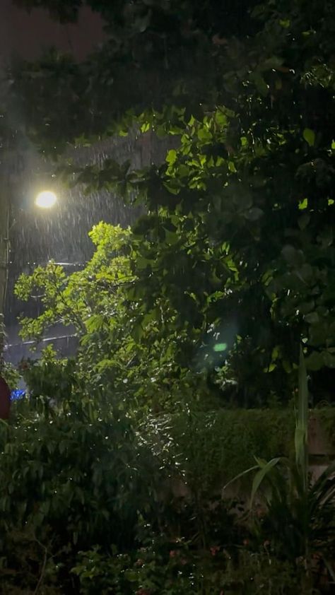 Night Rain Snap Video Home, Raining Night Video, Night Rain Snap, Night Rain Video, Night Rain Aesthetic, Rain Aesthetic Video, Rain View, Lights Video, Rain Night