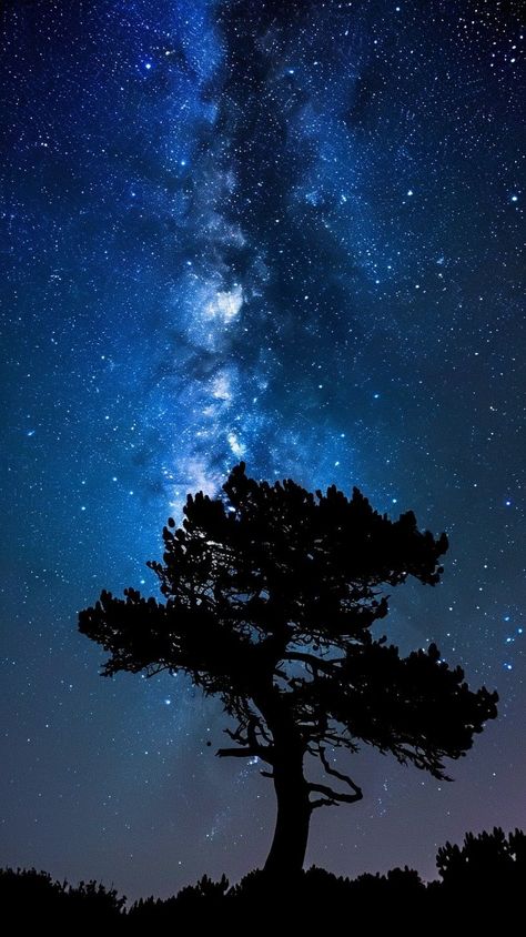 Celestial Pictures, Stars Sky Night, Space Tree, Sky Silhouette, Starry Night Art, Space Astronomy, Sky Digital, Night Stars, Night Sky Photography