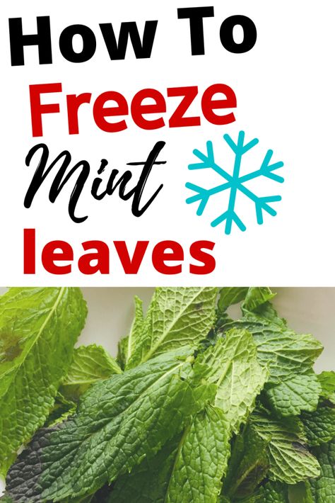 Freezing Mint Leaves, How To Harvest Mint Leaves, How To Freeze Mint Leaves, How To Keep Mint Leaves Fresh, Mint Leaves Recipe, Baking Substitutions, Store Fresh Herbs, Freezing Peppers, Freeze Avocado