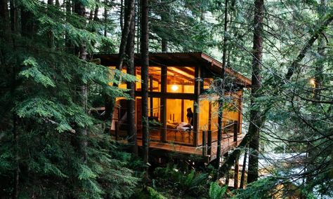 Luxury Retreat | Nimmo Bay Resort | True West Coast Wilderness Tree House Interior, Great Bear Rainforest, All Inclusive Honeymoon, Wilderness Resort, Beach Cabana, Overwater Bungalows, Honeymoon Packages, Luxury Retreats, Cabins In The Woods