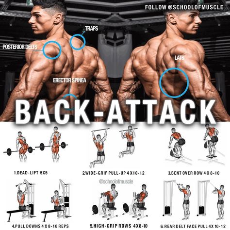 Body Building Tips, Gym Antrenmanları, Exercise Program, 남자 몸, Weight Training Workouts, Ab Workout At Home, Body Fitness, Gym Workout Tips, Back Exercises