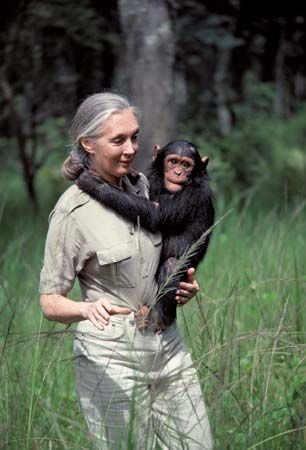 Jane Goodall | Biography & Facts | Britannica.com Zoologist Aesthetic, Woman With Animals, Murakami Haruki, Conservation Biology, Wildlife Biologist, Zoo Keeper, Jane Goodall, Animal Liberation, Zoology