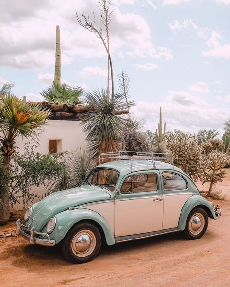 Bug Car Aesthetic, Car Aesthetic Inside, Volkswagen Vintage, Desert Vacation, Retro Auto, Bug Car, Volkswagen Bug, Vintage Volkswagen, Kid Friendly Travel Destinations