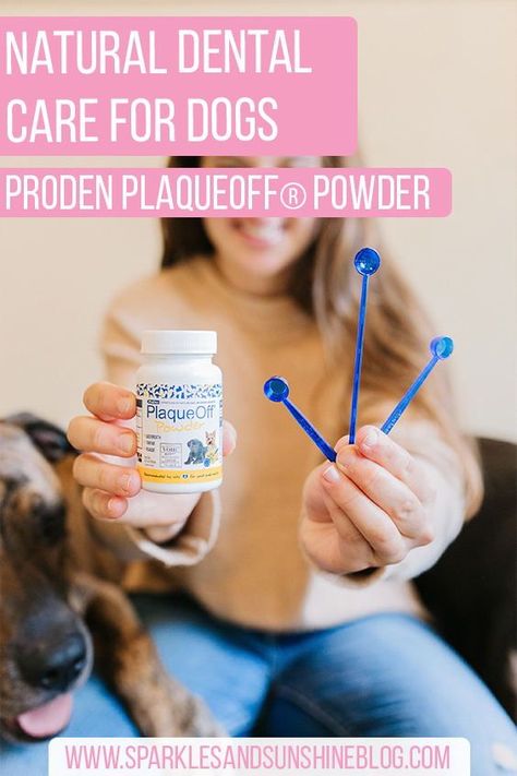 I hate dog products with a ton of chemicals, which is why I wanted to find natural ways to freshen my dogs breath and how to clean my dogs teeth naturally. My go-to dog dental care product is the ProDen PlaqueOff® Powder! This powder improves dog oral care and hygiene and it’s a great way to clean your dogs teeth at home without brushing! Plus, this brand also has the best dog dental treats and chews in many tasty flavors! Learn more about dog dental care on my dog mom blog! Dog Dental Treats, Dog Dental Chews, Puppy Tips, Tartar Removal, Dog Dental Health, Dogs Teeth, Dog Words, Puppies Tips, Puppy Teething