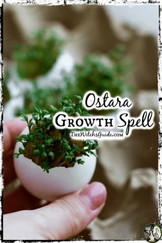 Spring Equinox Aesthetic, Ostara Ideas, Equinox Aesthetic, He Is Risen Craft, Growth Spell, Pagan Names, Faithful Marriage, Spring Equinox Ritual, Spiritual Wellbeing