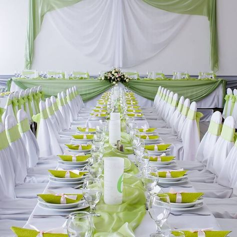 Make your all-green banquet vision a reality. Dress the tables with white polyester tablecloths and decorate the wall with sheer white and sage green backdrops. Use our olive green drape and silk rose bouquet on the main table, and our sage green chiffon runner and table number on the guests' table. Equip all tables with chairs adorned with sheer chair sashes and universal chair covers, as well as an acrylic charger plate, plastic soup bowl, disposable silverware set, and dinner cloth napkins. Green And White Wedding Reception, Chiffon Runner, Wedding Car Deco, Creamy Chicken Pasta Recipes, Lime Green Weddings, White Wedding Reception, Obx Wedding, Silk Rose Bouquet, White Weddings Reception