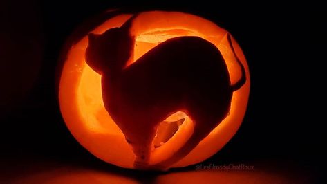 Les films du Chat Roux on Instagram: “Joyeux Halloween 🎃 Prenez bien soin de vous et de vos proches. [Image photographiée au smartphone ] #halloween #citrouille #pumpkin…” Pumpkin Carving, Smartphone, Carving, Halloween, On Instagram, Instagram