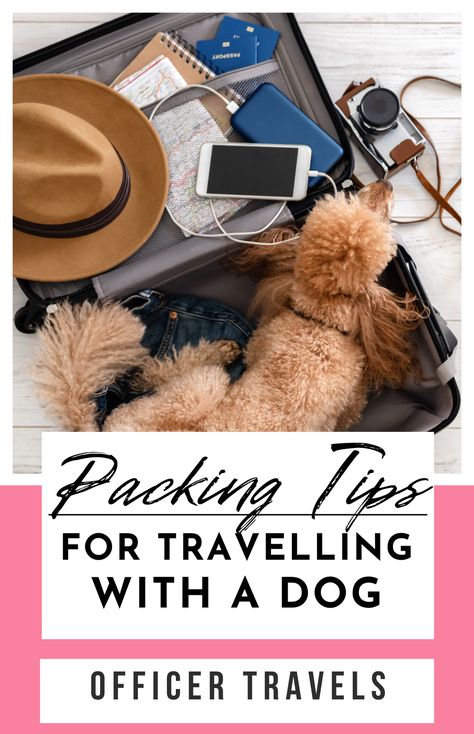 Packing Tips For Travelling With A Dog Dog Travel Essentials, Road Trip Necessities, Dog Car Travel, Road Trip With Dog, Dog Friendly Vacation, Dog Travel Accessories, Must Have Car Accessories, Travel Packing List, Pet Ramp