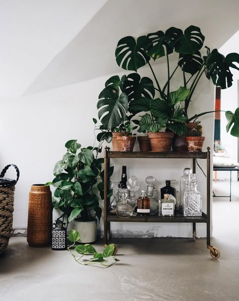 Bar Cart Inspo, Plants Vintage, My Scandinavian Home, Bar Cart Styling, Bar Cart Decor, Interior Plants, House Plants Decor, Mirror Interior, Contemporary House Design