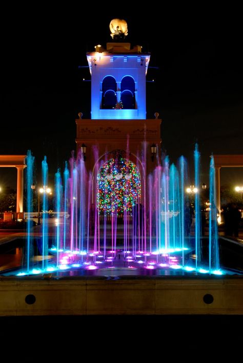 Musical fountain at Cranes Roost Park, Altamonte Springs, Florida Fountain Lighting, Altamonte Springs Florida, Oviedo Florida, Side Hairstyle, Orlando Trip, Fountain Lights, Medical Pictures, Florida Adventures, Small Water Features