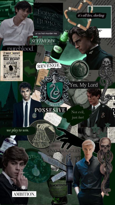 Yn Pfp, Harry Potter Riddles, Riddle Pictures, Slytherin Wallpaper, Slytherin Boys, Draco Malfoy Aesthetic, Slytherin Pride, Slytherin Harry Potter, Images Harry Potter