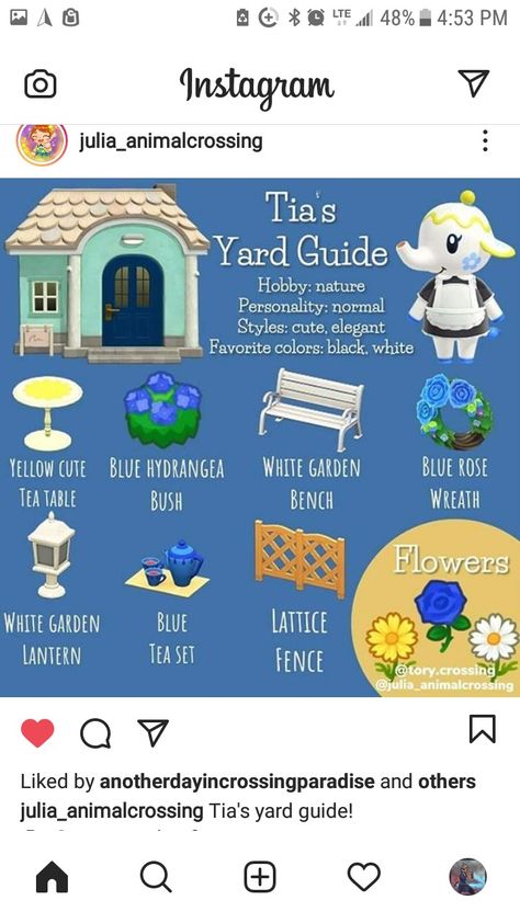 Acnh Tia Yard, Tia Acnh Yard, Animal Crossing Tia, Tia Acnh House, Acnh Guidebook, Acnh Yard Guide, Acnh Cute Island Inspiration, Cottagecore Animal Crossing, Animal Crossing Funny