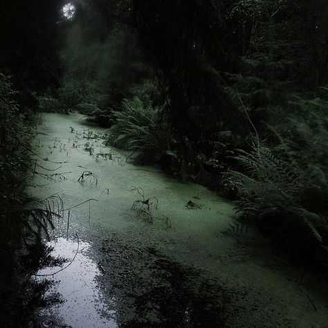 Swamp path leading to Kensia’s compound Paradis Sombre, Dark Naturalism, Dark Fairycore, Grunge Fairycore, Dark Green Aesthetic, Slytherin Aesthetic, Dark Cottagecore, Dark Paradise, Dark Fairy