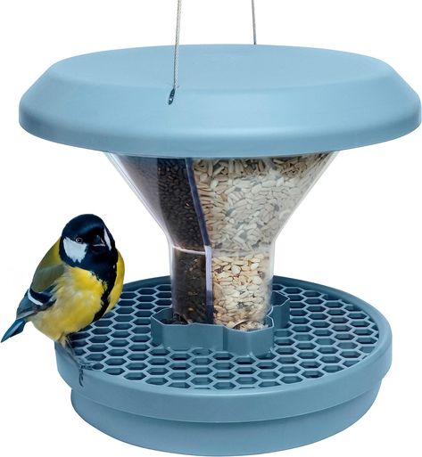 Mice Prevention, Mice Infestation, Bird Suet, Bird Seed Feeders, Greenfinch, Food Wastage, Window Bird Feeder, Pet Ducks, Sunflower Hearts