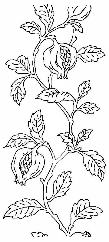 Pomegranate Drawing, Bordado Jacobean, Vine Drawing, Pomegranate Art, Pomegranate Design, Stencil Patterns, Crewel Embroidery, Vintage Embroidery, Embroidery Inspiration