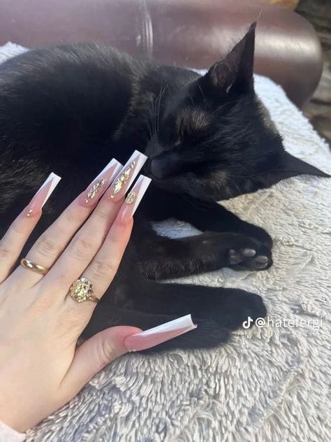 Black Cat, Nails, White, Black