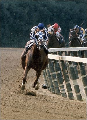 *Secretariat in his memorable Belmont Stakes run of 1973 Secretariat Horse, Triple Crown Winners, Derby Horse, The Great Race, Thoroughbred Horse Racing, Belmont Stakes, Sport Of Kings, Thoroughbred Horse, Majestic Horse