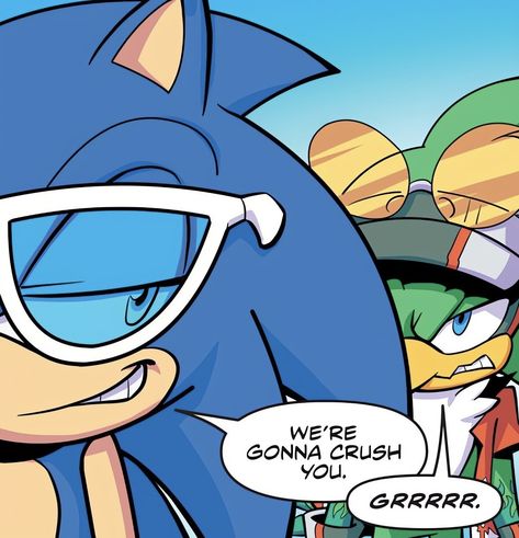 Sonic The Hedgehog And Jet The Hawk IDW Endless Summer Sonic X Jet, Sonic And Jet, Sonic Idw Icon, Sonic The Hedgehog Comic Icons, Sonic Jet, Sonic Idw Comics Icons, Jet The Hawk, Sonic The Hedgehog Idw, Silly Hedgehog