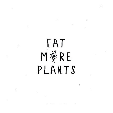 Eat more Plants. #plantbaseddiet #healthy #greens Learn more: BasilHealth at www.basilhealth.com Eat Your Veggies Quotes, Plant Based Quotes Inspirational, Plant Based Quotes, Veggies Quotes, Vegetables Quote, Rad Quotes, Vegetarian Quotes, Healthy Food Quotes, Eat More Plants