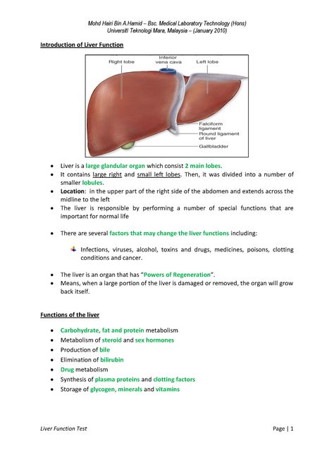 76879668 Liver Function Test - UniversitI Teknologi Mara, Malaysia – (January 2010) Introduction of - StuDocu Liver Function Test Notes, Liver Notes Anatomy, Liver Notes, Biology Hacks, Mlt Notes, Diagnostic Medical Sonography Student, Liver Anatomy, Bilirubin Levels, Med Notes