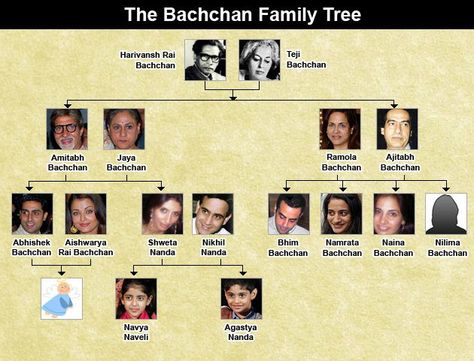 Bachchan-family-tree Bachchan Family, Celebrity Families, Bollywood Celebrities, Display Ideas, Family Tree, Photo Wall, Celebrities, Quick Saves