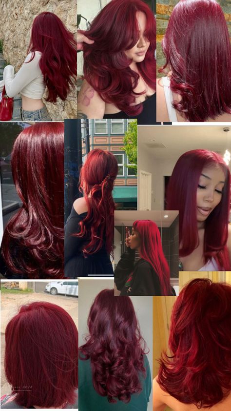 Red Root Hair, Cold Red Hair, Raspberry Red Hair, Blood Red Hair, Hair Dye Videos, Shades Of Red Hair, Dyed Red Hair, Dye Colors, Pretty Hair Color