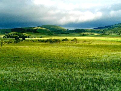 Grassland Biome, Golf Course Photography, Golf Photography, Open Field, Natural Perfume, Natural Oils, Mother Nature, Beautiful Nature, Landscape Photography