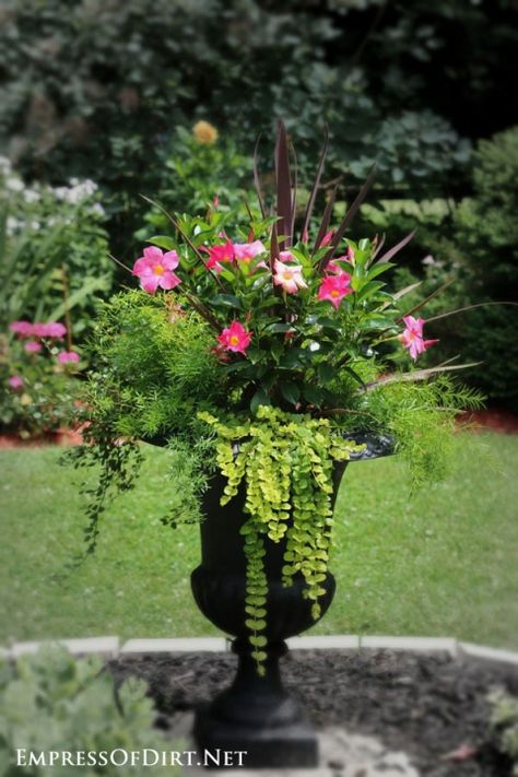 Pink flowers and lime greens in a black urn | 21 Gorgeous Flower Planter Ideas to inspire your garden Pots In Flower Beds, Flower Planter Ideas, Potting Flowers, Zuppa Toscana Soup Olive Garden, Planting Containers, Planter Flowers, Beautiful Planters, Summer Planter, Container Planting