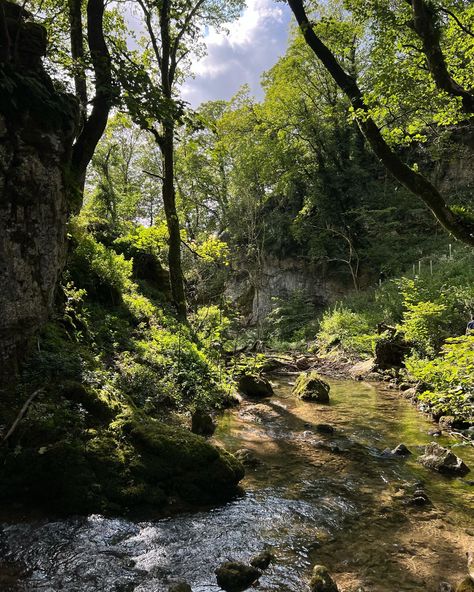 Janet Core, Cottage Interior, Yorkshire Dales, 2024 Vision, Travel Aesthetic, Cottage Core, Nature Pictures, Mother Nature, Yorkshire