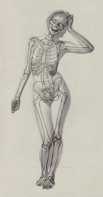 The Sight-Size Drawing Method Ako Kresliť, Drawing Method, Art Bizarre, Beautiful Pencil Drawings, Skeleton Anatomy, Male Figure Drawing, Skeleton Drawings, Art Demo, Human Anatomy Drawing