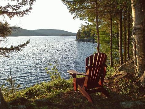 I just want to sit by this water and listen to the beautiful sounds of nature. Cabin Retreat, Lakefront Living, Outdoor Sanctuary, Fav Place, Lakeside Living, Corner Office, Lake Living, Lake Cottage, Lake Cabins