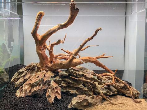 Dragon Stone Aquarium, Spider Wood Aquascape, Dragonstone Aquascape, Dragon Stone Aquascape, Aquarium Scape, Aquarium Inspiration, Fish Tank Terrarium, Tropical Fish Tanks, Dragon Stone