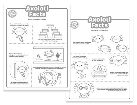 Fun Facts About Axolotl that Kids Can Print Axolotl Facts, What Axolotl Are You, Axolotl Infographic, Axolotl Coloring Page Free, Axolotl Poster, Free Educational Websites, Butterfly Facts, History Activities, Science Projects For Kids