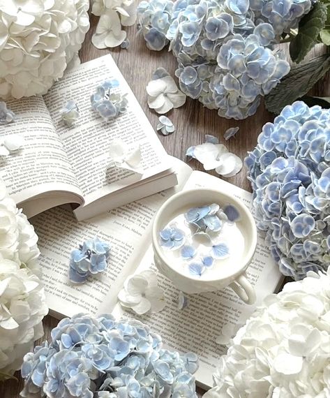 Blue Coquette Widgets, Light Blue Aesthetic Photos, Victorian Assassin, Blue Cream Aesthetic, Grayish Blue Aesthetic, Darling Charming, Blue Coquette, Song Covers, Alice Blue