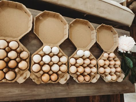 Egg Packaging Ideas, Organic Eggs Packaging, Kitchen Decorations Ideas, Simple Kitchen Decor, Decoration Ideas Kitchen, Kitchen Decor Diy, Kitchen Glam, Egg Farm, Egg Packaging